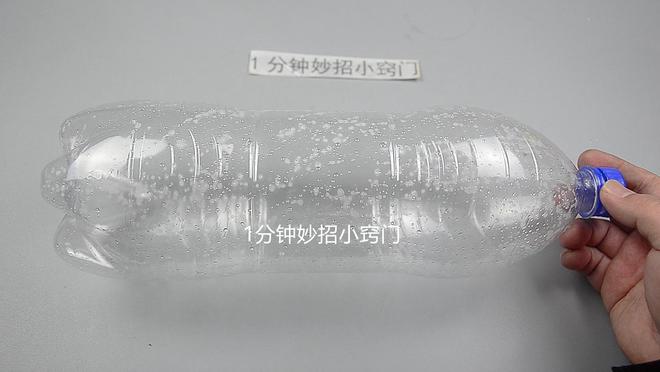 beat365官方最新版家里的塑料瓶不要扔简单手工制作变废为宝方法很实用