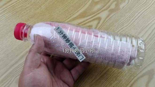 beat365官方最新版家里的塑料瓶不要扔简单手工制作变废为宝方法很实用(图2)