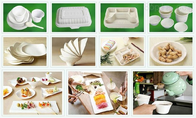 beat365聚乳酸：绿色未来的多面手材料(图4)