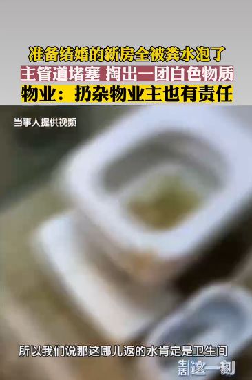 beat365官方最新版人间惨剧：新家被屎泡30万装修打水漂(图1)