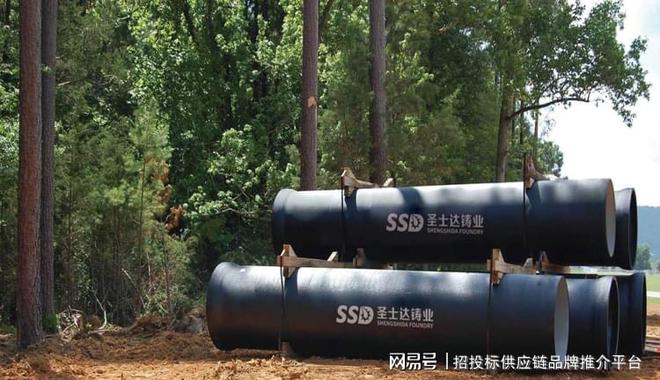 beat365官方最新版圣士达铸业获“2024中国球墨铸铁管十大品牌”等称号！(图3)