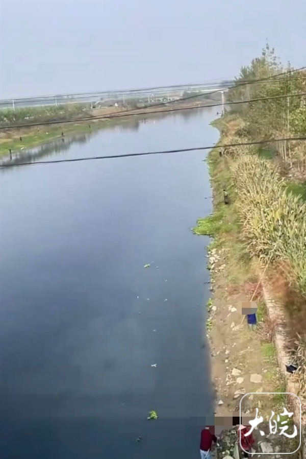 beat365湖北天门河部分河段水体发黑水面漂死鱼当地环保部门：系生活污水管道破