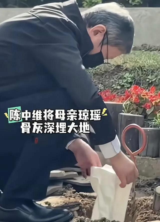 beat365官方最新版大S树葬位置曝光！内含1万5900个树穴园区内不立墓碑不(图9)