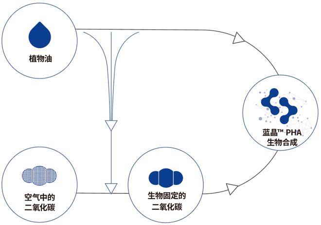 beat365官方最新版“塑料”也能是环保材料？(图5)