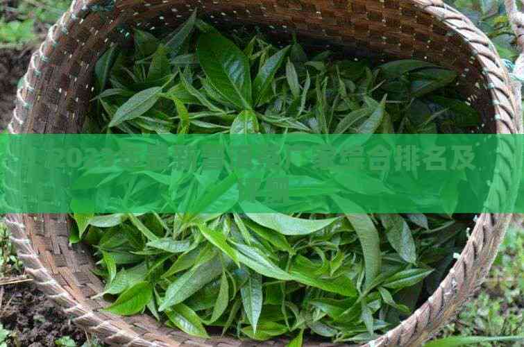beat3652023年最新普洱茶厂家综合排名及评测(图6)