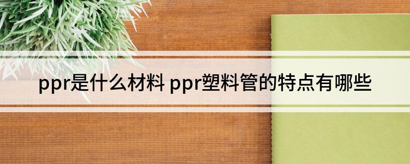beat365官方最新版ppr是什么材料