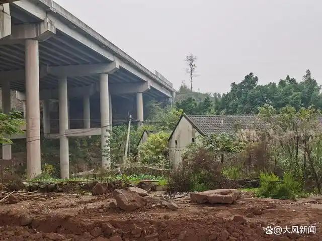 beat365官方最新版近期监督报道：猪场被强拆自称损失九千万；替父追债被判寻滋(图2)