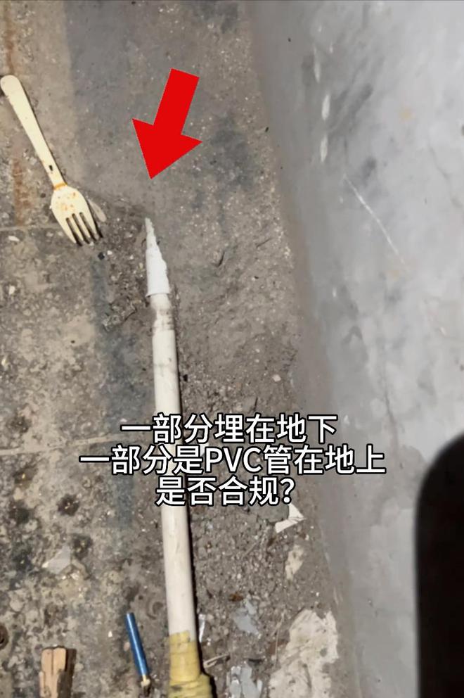 beat365充电桩线路未埋进地下频繁漏电将狗电死狗的主人讨说法(图7)
